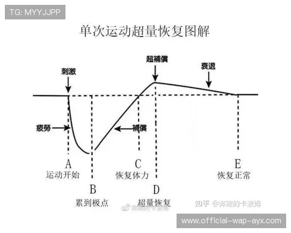 训练负荷精细化管理提高复出成功率 训练负荷精细化管理提高复出成功率