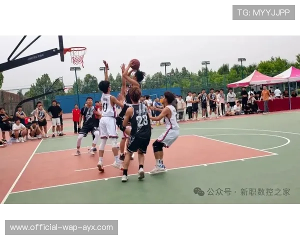 拼搏成就中国篮球无尽荣光