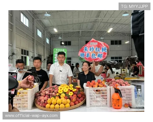 职业战队的电商渠道布局规划